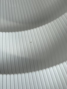 IMG_9060.JPEG